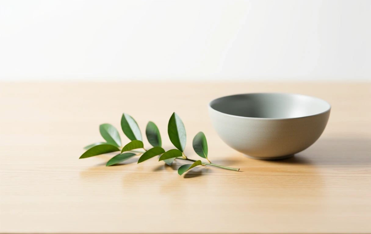 Philosophy visualization